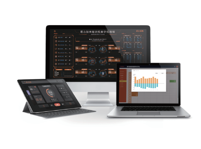 PAMFA体能训练数字化平台