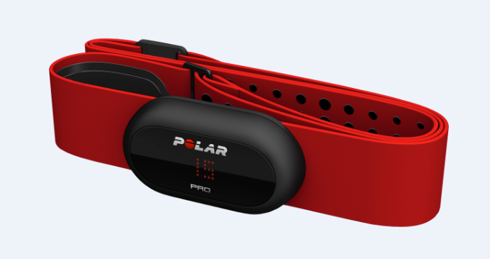 POLAR Team Pro